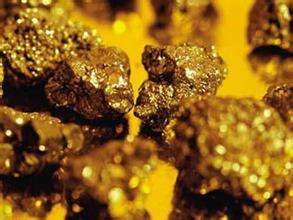 俄罗斯黄金生产商GV Gold将威萨莎金矿储量增至23吨